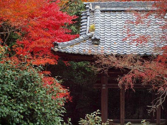 Guest House Hana Otsu Dış mekan fotoğraf